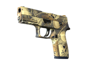 P250|Заражение